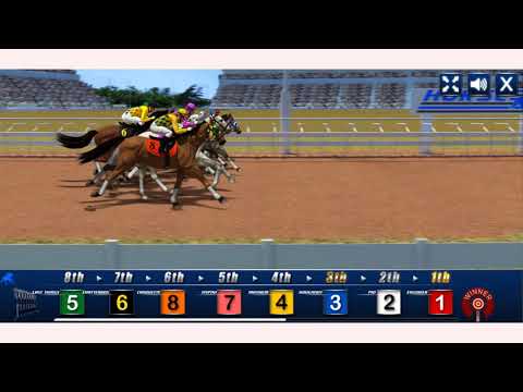 How to play Horse Racing  game | Free online games | MantiGames.com
