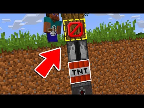 100 TRAPPOLE & TROLL DI MINECRAFT!!