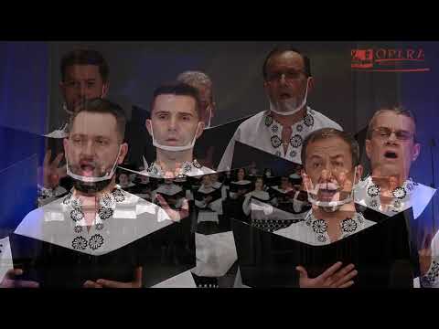 Șoim român - 24.01.2021