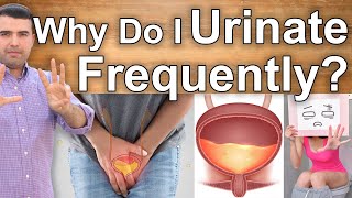 WHY DO I URINATE FREQUENTLY? - 8 Reasons Why You