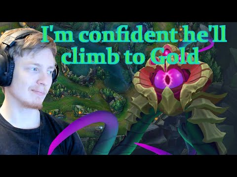 Coaching - 44% Winrate in Bronze, but...