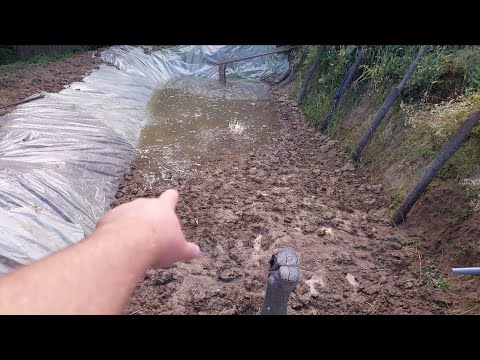 BALTA NOUĂ IN GRADINĂ - IAZ PERSONAL - IL UMPLEM CU APĂ