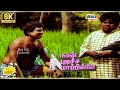 Naan Pudicha Mappillai Movie 8K Full Comedy Nizhalgal Ravi Goundamani Senthil Raj 8k Comedy