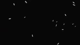 Download lagu mentahan untuk lapisan quotes literasi mp3