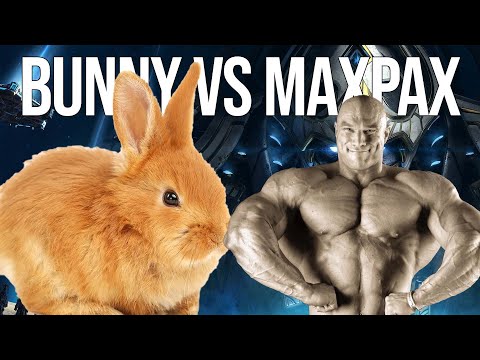 Can BUNNY Stop MAXPAX?