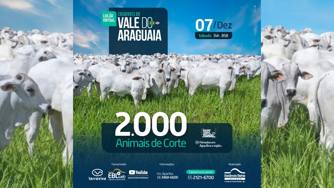 Leilão Virtual Estância Bahia Corte - Araguaia | 07/12/2024  - 14H