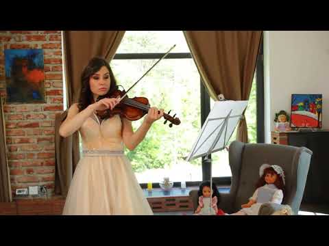 The Pink Panther Theme - violin and piano cover (Diana Jipa & Stefan Doniga)