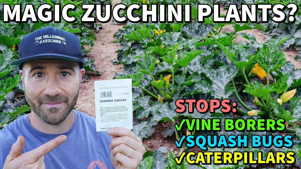 This ZUCCHINI EXPERIMENT Promised LIFE CHANGING Results! Did It Work?