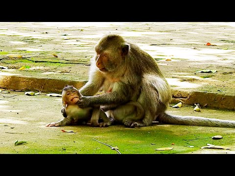 Hanlen is very angry with Arina's mother because she doesn't care