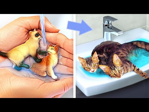 MEOW 🐱 Secret Cat House Under Your Bed! *DIY Room Makeover and Hacks