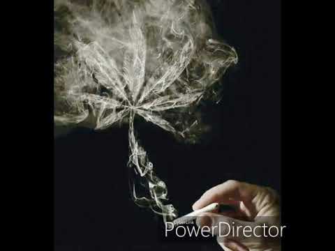 LFERDA Ft  GUZMAN - BZAF (Prod IM Beats )(360P)