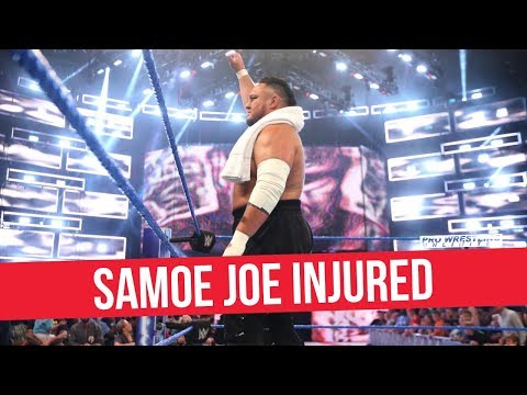 Fight Size Update: WWE Evolution Streaming On Twitter, Sasha Banks On The Real, CM Punk Birthday, More