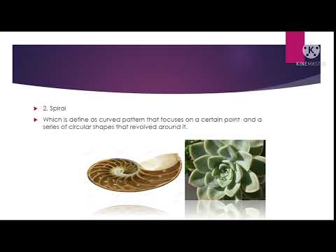 MATHEMATICS IN THE MODERN WORLD (MODULE 1)