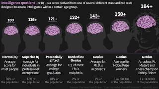 Online IQ tests. What are the realities?