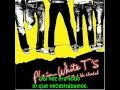 Plain White Ts -  All That We Needed (Traduccion español)