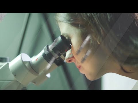 Como é ser Engenheiro(a) da FEI?