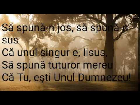 EMIL RARINCA - IISUS, IISUS, CE MULT TE-ADOR.