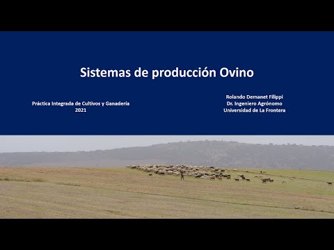 , title : 'Sistemas de producción ovino'