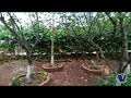 Cabaña para disfrutar de la naturaleza | Villa Tai, Los Laureles