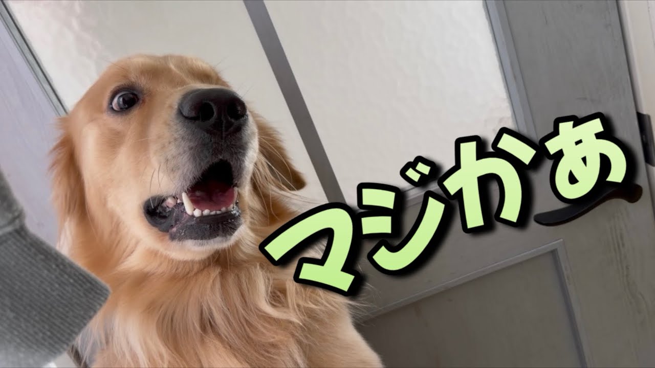 2歳の誕生日に手作りケーキをあげてみたら...