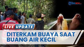 Kronologi Pria Berau Diterkam Buaya saat Hendak Buang Air Kecil di Sungai Bengawan Kalimantan Timur