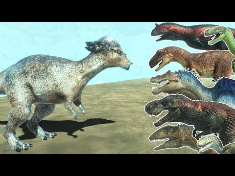 Pachycephalosaurus VS ALL DINOSAURS - ANIMAL REVOLT BATTLE SIMULATOR