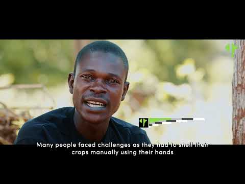 Support 25 Youth Entrepreneurs in Zimbabwe