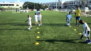 BBFS 6th Annual Midterm Camp