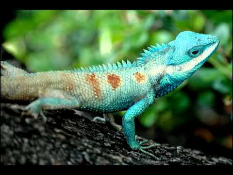 Punch & Words- Turn it up