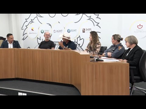 Comissão Especial de Defesa dos Direitos da Mulher