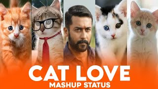 Cat love whatsapp status tamil/ /cat love whatsapp