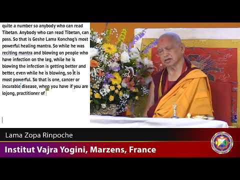 20190614 2300 LZR IVY FRANCE - Torma Offering and tsog