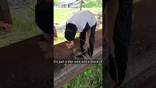 Download lagu boatman is installing rattan#pacujalur #fypyoutube #viralvideos mp3