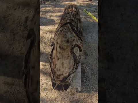Impresionantes Esculturas de Madera en Kiyú. Uruguay 🇺🇾