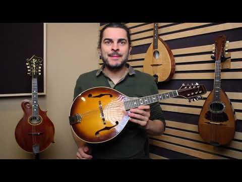 Quels sont les différents types de mandolines? 😯