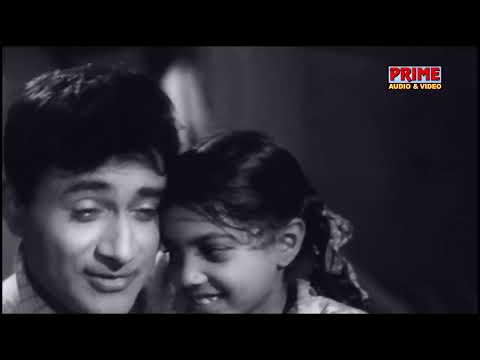Kal Ki Daulat Aaj Ki Khushiyan / Asli Naqli / Dev Anand / Sadhana / Cineprimehd