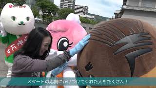 2024/6/20放送・知ったかぶりカイツブリにゅーす