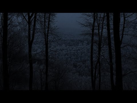 Winter Forest Atmosphere | Alone in the Carpathian Mountains | -15°C | 3 HOURS