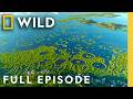 The Natural Wonder Of India Full Episode India From Above Nat Geo Animals