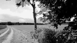 Mazzy Star - Into Dust