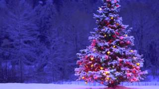 Merry, Merry Christmas Everyone - Jon McLaughlin