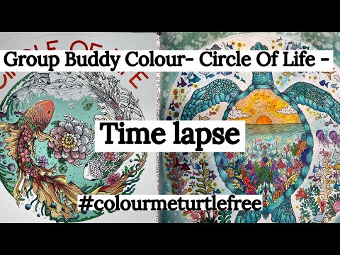 Circle Of Life  Buddy Colour Time-lapse