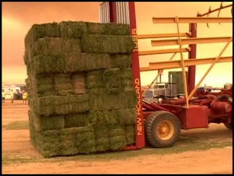 AV Fair Rural Olympics 2009