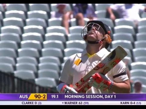 David Warner 's Tribuite to Phil Huges on 63*