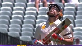 David Warner 's Tribuite to Phil Huges on 63*