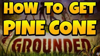 How to Get Pinecones in Grounded 2023