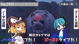 【ポケモンSV】その姿でゴーストタイプじゃないの…？赫月ガチグマ使ってみた！【ゆっくり実況】