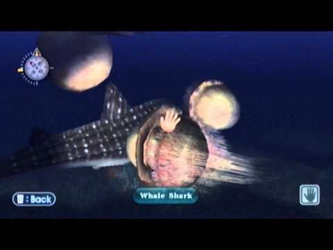 Endless Ocean Gameplay (Wii) HD