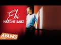 Ebi - Harighe Sabz OFFICIAL VIDEO | ابی - حریق سبز