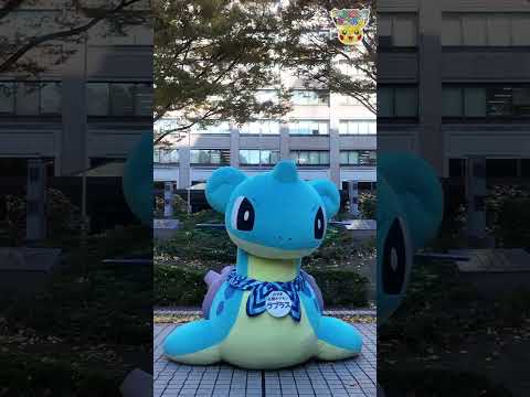 Pokémon Shorts - Lapras in Miyagi PART 3 - #PokemonFunVideo #PokemonKidsTV​
